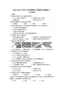 初中物理苏科版八年级上册2.4 升华和凝华课时训练