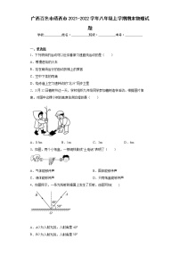 广西百色市靖西市2021-2022学年八年级上学期期末物理试题(含答案)