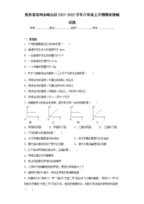 陕西省宝鸡市岐山县2021-2022学年八年级上学期期末物理试题(含答案)