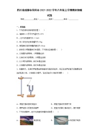 四川省成都市简阳市2021-2022学年八年级上学期期末物理试题(含答案)