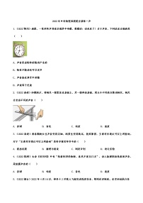 2022年中考物理真题提分演练—声(含答案)