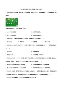 2022年中考物理试题专题训练：内能与热机(含答案)