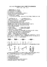 江苏省盐城市2022-2023学年九年级上学期开学考试物理试卷（Word版含答案）