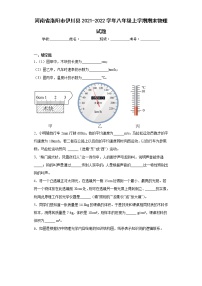 河南省洛阳市伊川县2021-2022学年八年级上学期期末物理试题(含答案)