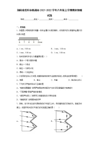 湖南省岳阳市临湘市2021-2022学年八年级上学期期末物理试题(含答案)