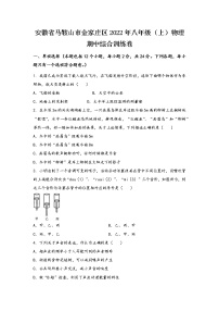 安徽省马鞍山市金家庄区2022年八年级（上）物理期中综合训练卷(word版，有答案)