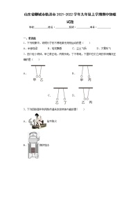 山东省聊城市临清市2021-2022学年九年级上学期期中物理试题(含答案)