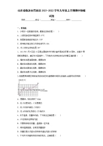 山东省临沂市莒南县2021-2022学年九年级上学期期中物理试题(含答案)