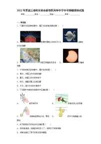 2022年黑龙江省哈尔滨市香坊区风华中学中考物理模拟试题(含答案)