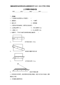 湖南省岳阳市华容县东山镇砖桥中学2021-2022学年八年级上学期期中物理试题(含答案)