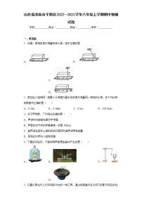 山东省济南市平阴县2022—2023学年八年级上学期期中物理试题(含答案)