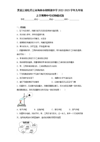 黑龙江省牡丹江市海林市朝鲜族中学2022-2023学年九年级上学期期中考试物理试题(含答案)