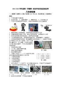 江苏省南京市秦淮区2022-2023学年八年级上学期期中考试物理试卷(含答案)