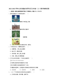 山东省临沂市罗庄区2022-2023学年九年级上学期期中物理试卷(含答案)