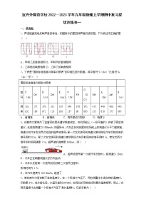 宜兴外国语学校2022－2023学年九年级物理上学期期中复习提优训练卷一（含答案）