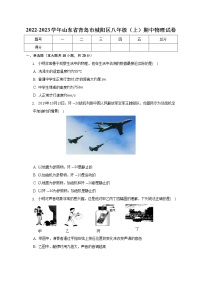 山东省青岛市城阳区2022-2023学年八年级上学期期中考试物理试题 (含答案)