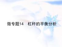 中考物理复习微专题14杠杆的平衡分析精讲课件