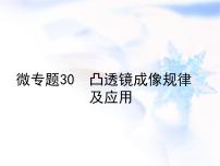 中考物理复习微专题30凸透镜成像规律及应用精讲课件