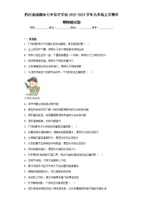 四川省成都市七中育才学校2022-2023学年九年级上学期半期物理试题(含答案)