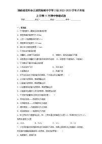 湖南省岳阳市云溪区陆城中学等2校2022-2023学年八年级上学期11月期中物理试题(含答案)