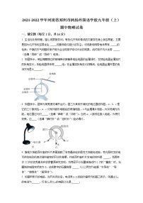 河南省郑州市枫杨外国语学校2021-2022学年九年级上学期期中物理试题