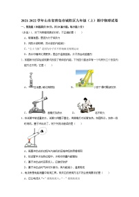 山东省青岛市城阳区2021-2022学年九年级上学期期中物理试卷（含答案）