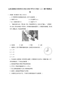 山东省潍坊市青州市2022-2023学年八年级上学期期中考试物理试题(含答案)