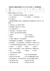 青海省西宁市海湖中学2022-2023学年九年级上学期期中考试物理试题(含答案)