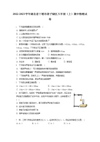 2022-2023学年湖北省十堰市梁子湖区八年级（上）期中物理试卷(含答案解析)