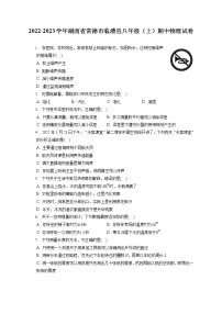 2022-2023学年湖南省常德市临澧县八年级（上）期中物理试卷(含答案解析)