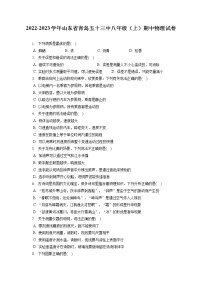 2022-2023学年山东省青岛五十三中八年级（上）期中物理试卷(含答案解析)