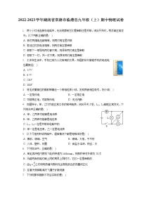 2022-2023学年湖南省常德市临澧县九年级（上）期中物理试卷（含答案解析）