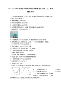 2022-2023学年湖南省长沙师大附中教育集团九年级（上）期中物理试卷（含答案解析）