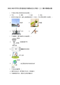 2022-2023学年江苏省南京市溧水区九年级（上）期中物理试卷（含答案解析）