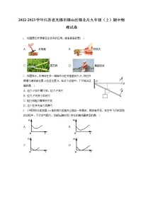 2022-2023学年江苏省无锡市锡山区锡北片九年级(上)期中物理试卷(含答案解析)
