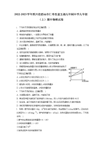 2022-2023学年四川省眉山市仁寿县富五福九年制中学九年级（上）期中物理试卷（含答案解析）