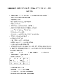 2022-2023学年四川省内江市资中县银山中学九年级（上）期中物理试卷（含答案解析）