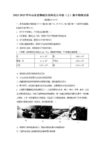 山东省聊城市东阿县2022-2023学年九年级上学期期中物理试卷(含答案)