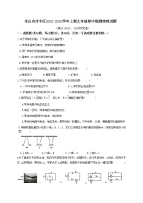 四川省乐山市市中区2022-2023学年九年级上学期期中测试物理试题(含答案)