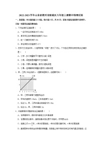 山东省德州市陵城区2022-2023学年八年级上学期期中考试物理试题(含答案)