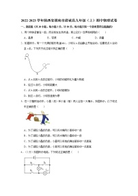 陕西省渭南市澄城县2022-2023学年九年级上学期物理期中考试试题(含答案)