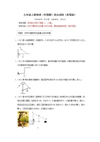 【期末复习】2022-2023学年初三物理上册综合训练（作图题）