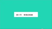 沪科版八年级全册第六节 神奇的眼睛习题课件ppt