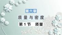 人教版八年级上册第1节 质量课堂教学ppt课件
