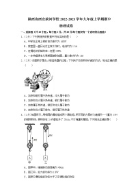 陕西省西安滨河学校2022-2023学年九年级上学期期中物理试卷（含答案）