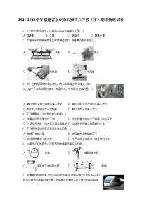 2021-2022学年福建省泉州市石狮市八年级（下）期末物理试卷（含答案解析）