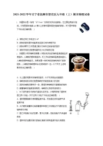 2021-2022学年辽宁省抚顺市望花区九年级(上)期末物理试卷(含答案解析)