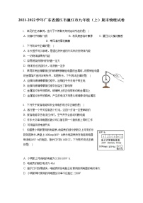 2021-2022学年广东省湛江市廉江市九年级（上）期末物理试卷（含详细答案解析）