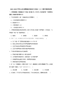 山东省聊城市冠县2022-2023学年八年级上学期期中考试物理试题 (含答案)