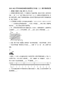 河南省南阳市新野县2022-2023学年八年级上学期期中物理试卷（含答案）